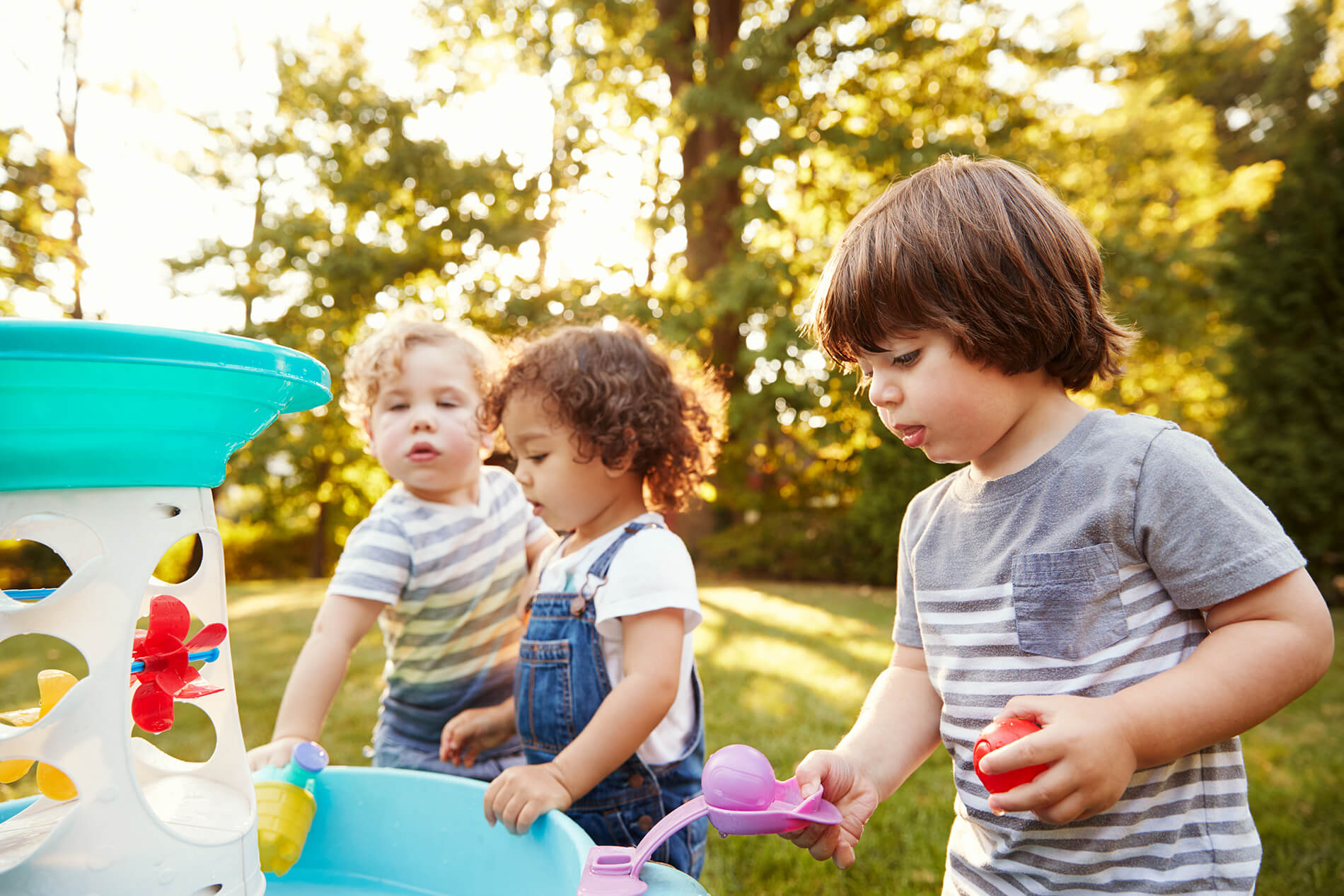 The-New-Jersey-Early-Intervention-System